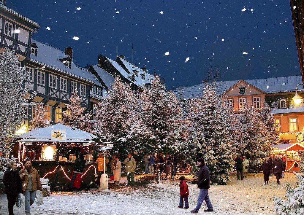 Fachwerkferienhaus Helmbrecht Goslar Dış mekan fotoğraf