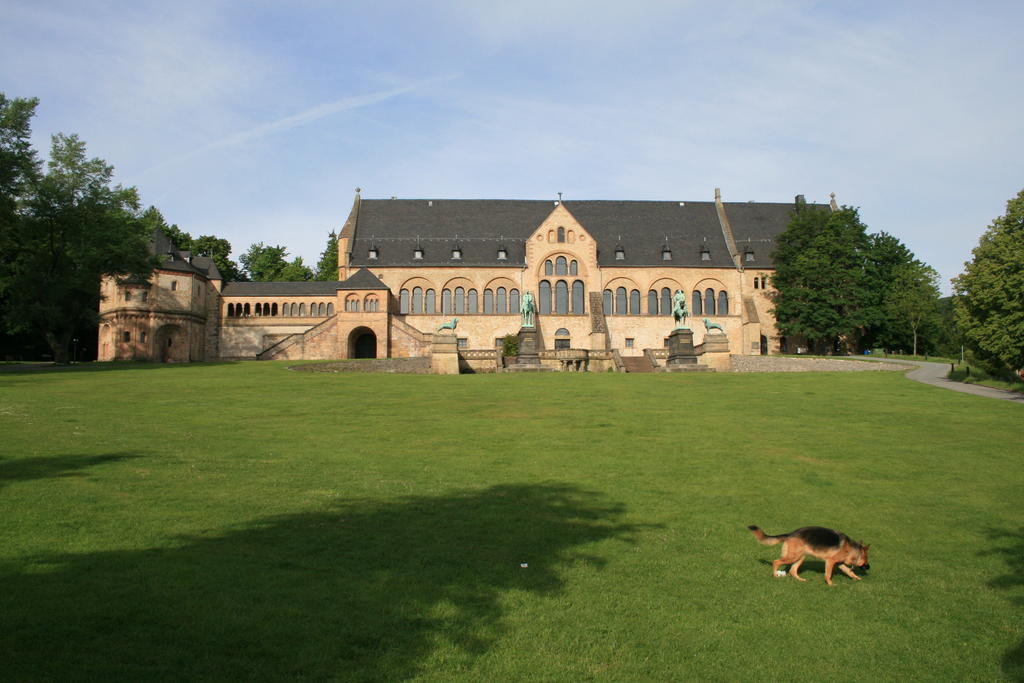 Fachwerkferienhaus Helmbrecht Goslar Dış mekan fotoğraf